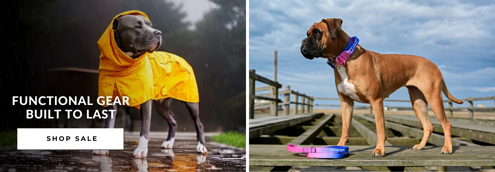 Elevated Style for Every Walk